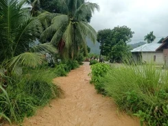Banjir dan Tanah Longsor Melanda Aceh Selatan, Sebanyak 8.142 Jiwa Terdampak